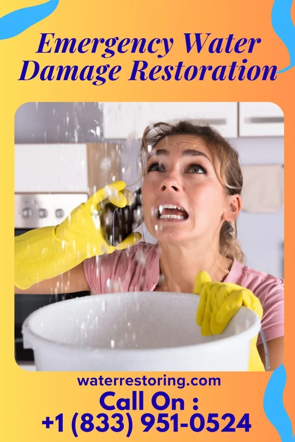 Emergency Water Damage Restoration in Virginia, IL