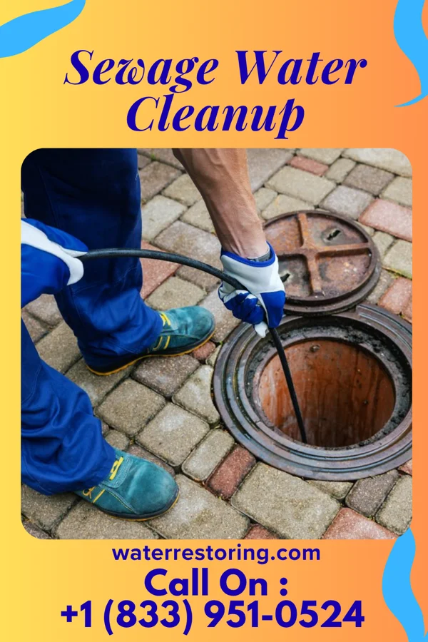 Sewage Water Cleanup in Virginia, IL